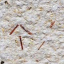Μια γενική εικόνα