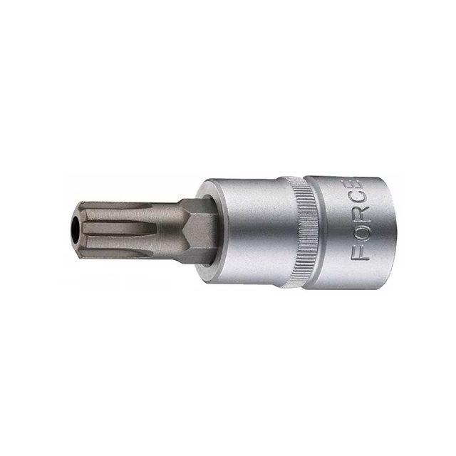 (εικόνα για) Καρυδάκι ½″ Ribe (Polydrive) με τρύπα κοντό